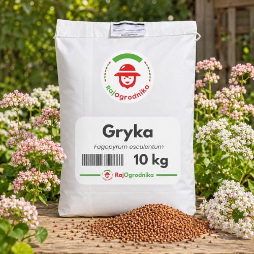 Gryka Poplon nasiona gryki na poplon 10 kg vis sklep RajOgrodnika